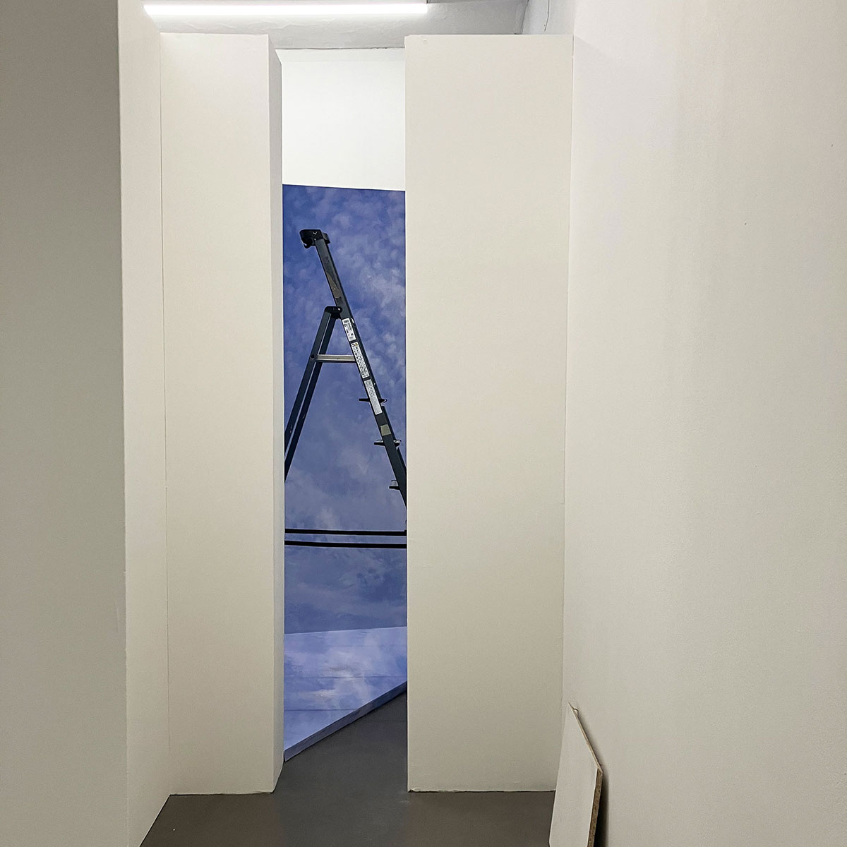 Mixed-Media Installation von Julia Malgut
